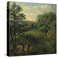 Valley Scene with Trees-John Constable-Stretched Canvas