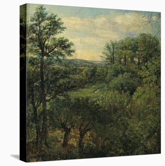 Valley Scene with Trees-John Constable-Stretched Canvas