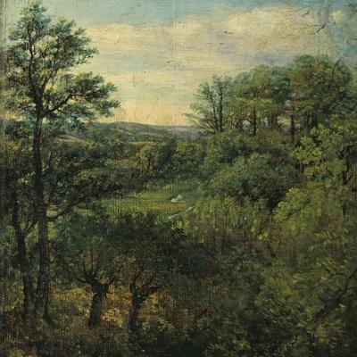 https://imgc.allpostersimages.com/img/posters/valley-scene-with-trees_u-L-Q1I14CH0.jpg?artPerspective=n