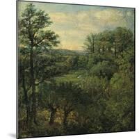 Valley Scene with Trees-John Constable-Mounted Giclee Print