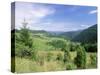 Valley Scenery Around Village of Biela, Mala Fatra Mountains, Slovakia, Europe-Richard Nebesky-Stretched Canvas