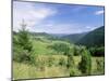 Valley Scenery Around Village of Biela, Mala Fatra Mountains, Slovakia, Europe-Richard Nebesky-Mounted Photographic Print