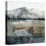 Valley Stormscape II-Grace Popp-Stretched Canvas