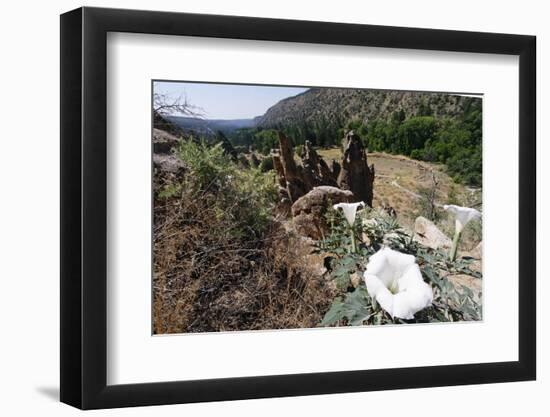 Valley View, Bandelier National Monument, NM-George Oze-Framed Premium Photographic Print