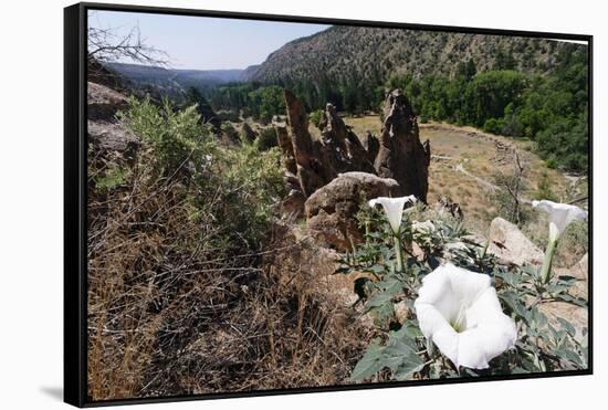 Valley View, Bandelier National Monument, NM-George Oze-Framed Stretched Canvas