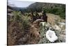 Valley View, Bandelier National Monument, NM-George Oze-Stretched Canvas