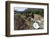 Valley View, Bandelier National Monument, NM-George Oze-Framed Photographic Print