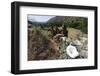 Valley View, Bandelier National Monument, NM-George Oze-Framed Photographic Print