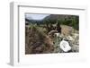 Valley View, Bandelier National Monument, NM-George Oze-Framed Photographic Print