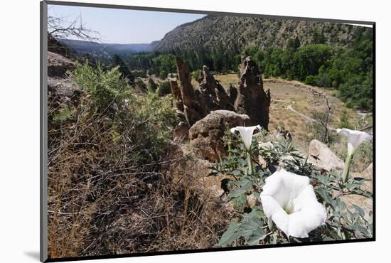 Valley View, Bandelier National Monument, NM-George Oze-Mounted Photographic Print