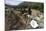 Valley View, Bandelier National Monument, NM-George Oze-Mounted Photographic Print