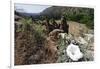 Valley View, Bandelier National Monument, NM-George Oze-Framed Photographic Print