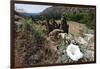 Valley View, Bandelier National Monument, NM-George Oze-Framed Photographic Print