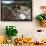 Valley View, Bandelier National Monument, NM-George Oze-Framed Photographic Print displayed on a wall