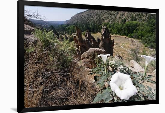 Valley View, Bandelier National Monument, NM-George Oze-Framed Photographic Print