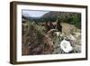 Valley View, Bandelier National Monument, NM-George Oze-Framed Photographic Print