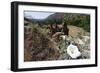 Valley View, Bandelier National Monument, NM-George Oze-Framed Photographic Print