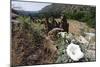 Valley View, Bandelier National Monument, NM-George Oze-Mounted Photographic Print