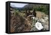 Valley View, Bandelier National Monument, NM-George Oze-Framed Stretched Canvas