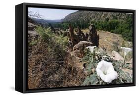 Valley View, Bandelier National Monument, NM-George Oze-Framed Stretched Canvas