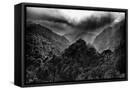 Canvas Black