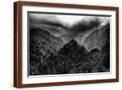 Brown Frame