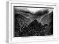 White Frame