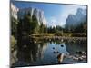 Valley View of El Capitan, Cathedral Rock, Merced River in Yosemite National Park, California, USA-Dee Ann Pederson-Mounted Premium Photographic Print