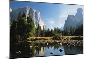 Valley View of El Capitan, Cathedral Rock, Merced River in Yosemite National Park, California, USA-Dee Ann Pederson-Mounted Photographic Print