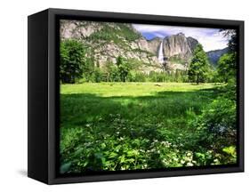 Valley View Of The Yosemite Fall, California-George Oze-Framed Stretched Canvas
