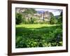 Valley View Of The Yosemite Fall, California-George Oze-Framed Premium Photographic Print