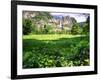 Valley View Of The Yosemite Fall, California-George Oze-Framed Premium Photographic Print