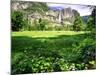 Valley View Of The Yosemite Fall, California-George Oze-Mounted Premium Photographic Print