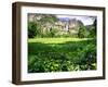 Valley View Of The Yosemite Fall, California-George Oze-Framed Photographic Print