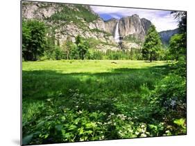 Valley View Of The Yosemite Fall, California-George Oze-Mounted Photographic Print