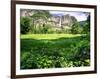 Valley View Of The Yosemite Fall, California-George Oze-Framed Photographic Print