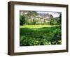 Valley View Of The Yosemite Fall, California-George Oze-Framed Photographic Print