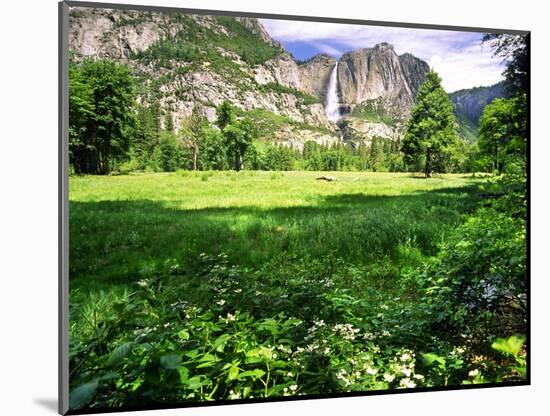 Valley View Of The Yosemite Fall, California-George Oze-Mounted Photographic Print