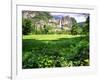 Valley View Of The Yosemite Fall, California-George Oze-Framed Photographic Print