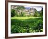 Valley View Of The Yosemite Fall, California-George Oze-Framed Photographic Print