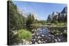 Valley View with El Capitan, Yosemite National Park, California, Usa-Jean Brooks-Stretched Canvas
