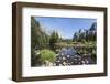 Valley View with El Capitan, Yosemite National Park, California, Usa-Jean Brooks-Framed Photographic Print