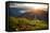 Valley View with Villages and Mountains at Sunrise. View from Adam's Peak, Sri Lanka-Dudarev Mikhail-Framed Stretched Canvas