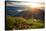 Valley View with Villages and Mountains at Sunrise. View from Adam's Peak, Sri Lanka-Dudarev Mikhail-Stretched Canvas