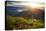 Valley View with Villages and Mountains at Sunrise. View from Adam's Peak, Sri Lanka-Dudarev Mikhail-Stretched Canvas