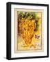 Valley Vines 1-Patricia Haberler-Framed Art Print