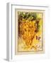 Valley Vines 1-Patricia Haberler-Framed Art Print