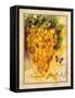 Valley Vines 1-Patricia Haberler-Framed Stretched Canvas