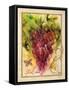 Valley Vines 2-Patricia Haberler-Framed Stretched Canvas