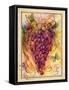 Valley Vines 3-Patricia Haberler-Framed Stretched Canvas